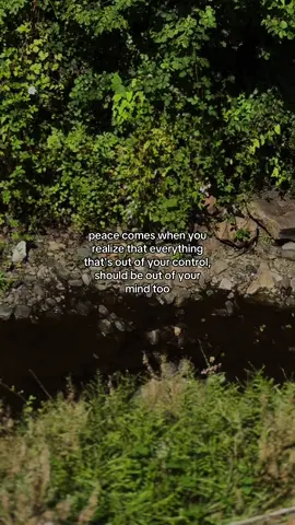 #motivation #motivationalvideo #lifequotes #motivationalquotes #quoteasthetic 