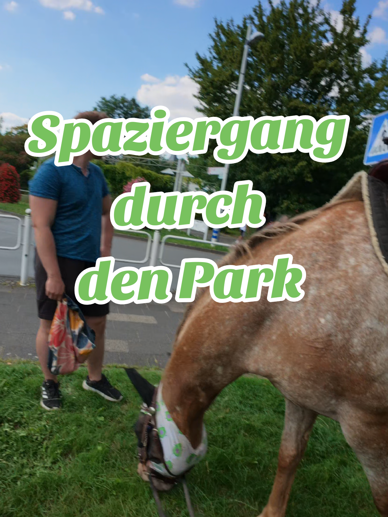 Mit Yukon durch den Park. Alle staunen, als wären Pferde vor 200Jahren ausgestorben 😂🐴 #ausritt #spazierenmitpferd 