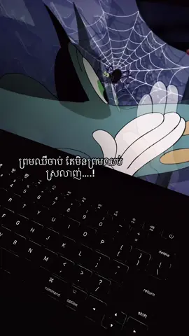 ព្រមឈឺចាប់ តែមិនព្រមឈប់ស្រលាញ់….!#fypツ 
