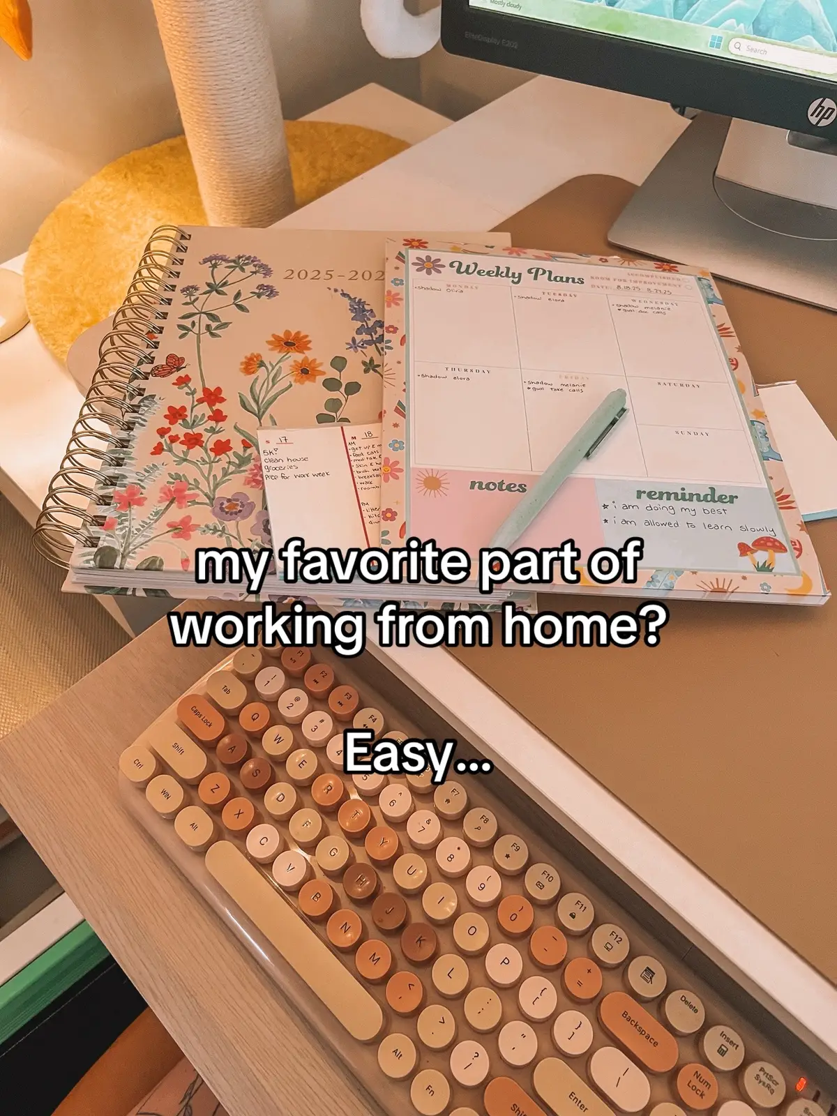 So many things I love about working from home but this is absolutely the top😅 #workfromhome #wfhlife #wfh #queer #lgbt 