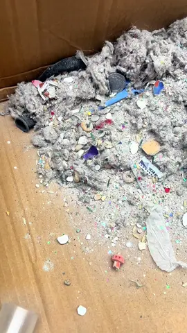 Cardboard box edging 📦.     #satisfyingvacuuming #vacuumvideos #vacuuming #vacuumasmr #soothingsounds 