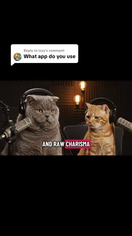 Replying to @Izzy #podcast #cats 