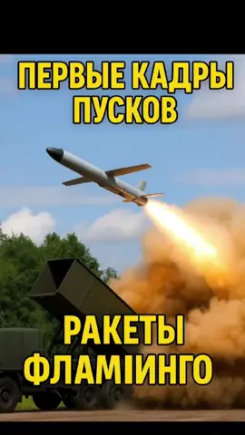 ⚡️ Украинская армия впервые применила новейшую крылатую ракету «Фламинго» по территории России. Известно о серии точных ударов, кадры которых уже появились в сети. Ракета внешне напоминает британскую FP-5 Milanion и уже запущена в серийное производство. Что это значит для будущего войны? 🇺🇦 Смотри до конца — впереди ещё больше сенсаций#Украина #Россия #Фламинго #ракета #Война 