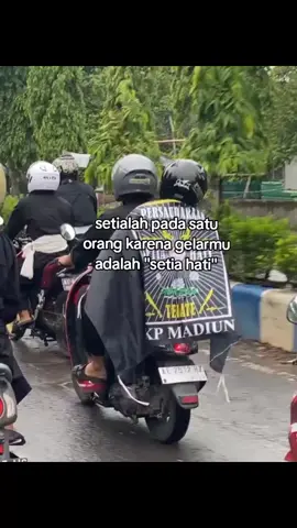 🤍 #psht #pshtpusatmadiun #pshtindonesia22 #pshtstory 