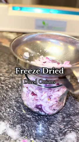 Freeze dried red onions!  I’m keeping these on hand for daily cooking and mid winter, I may need more onion powder. These can easily be blended to a powder 🙌🏻 #homesteading #canningandpreserving #preserving #freezedried #freezedry 