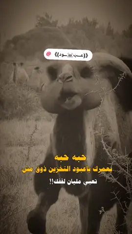 #😂😂😂  #@《(عـــبّ☠ـــود)》  #تصميم_فيديوهات🎶🎤🎬 