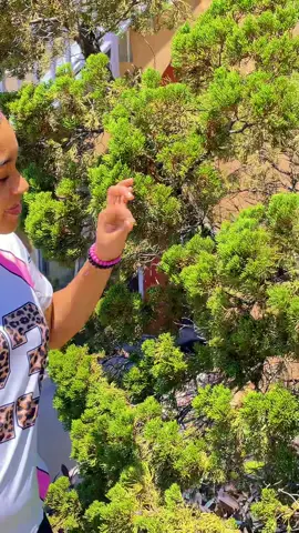 #barbie_leilla💕 #leilla_new❤️ #barbie_leilla💖🧠💕🦋 