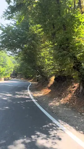 Könlum düşdü diyar diyar 🤗🤭