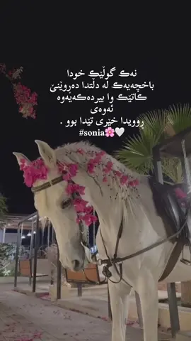 🌸🤍 #ئەکتیڤبن🥀🖤ـہہـ٨ــہ #foryoupage #tiktok #foryou #actives? 
