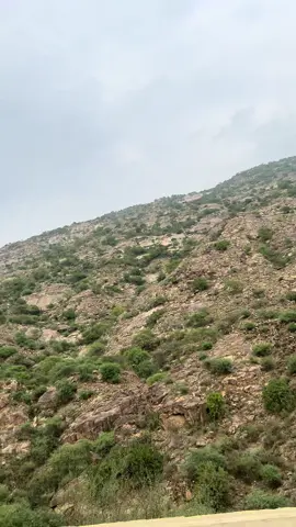 #اجواء #العارضه #سعود_الفايز #قران_كريم #اذكروا_الله 