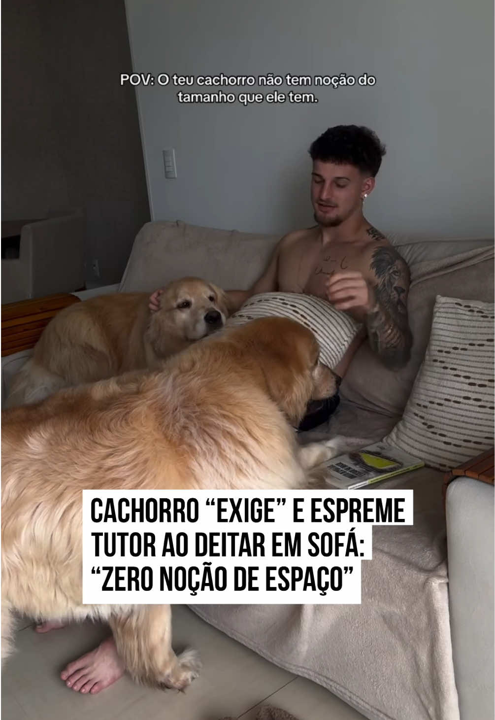😅🐶 Só quem tem #cachorro grande sabe... O criador de conteúdo João Valdez compartilhou um momento que muitos internautas se identificaram: a falta de noção de espaço dos doguinhos. Na ocasião, um dos #Golden Retrievers de João já estava deitado no sofá, enquanto o outro olhava atentamente, também querendo aproveitar o espaço de descanso.  Porém, mesmo alertando o #pet de que não caberia os três no móvel, João acabou cedendo a 