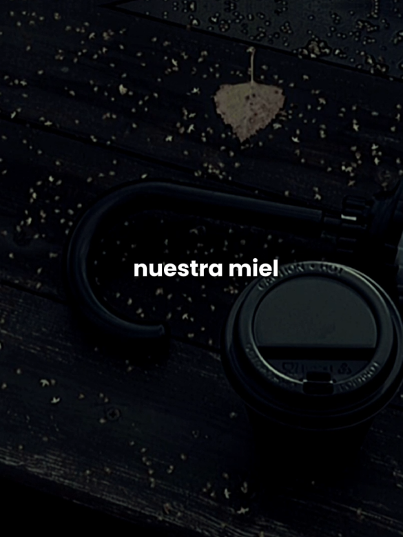 Hasta la piel #hastalapiel #music #lyrics #song #dedica 