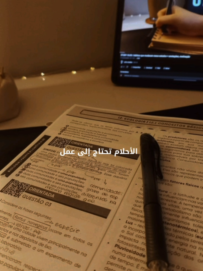 أقوى فيديو تحفيزي للنجاح  #النجاح #motivation_25  #دراسة  #motivation #ArabTikTok 