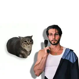 BBNO$ - 1-800, but it's Oiiai Cat Remix (uiiai) #mashup #remix #cat #bbnomoney #1800 @bbno$ 