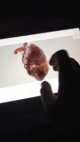🎥 أفضل تطبيقات هتنقذ حياتك الطبية | الجزء الاول ❤️❤️#fyp #foryou #medicine #app #foryoupage 