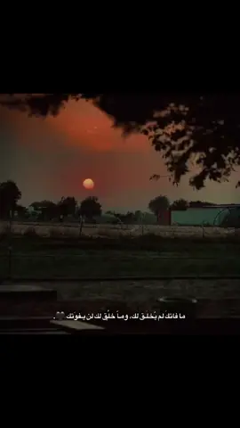 أجمل ماقيل في جدران مسلسل الفره