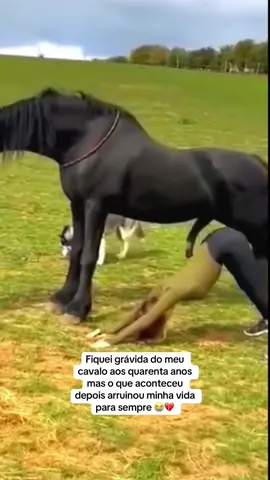 #hospital #gravidez #cavalo #historia #fyppp 