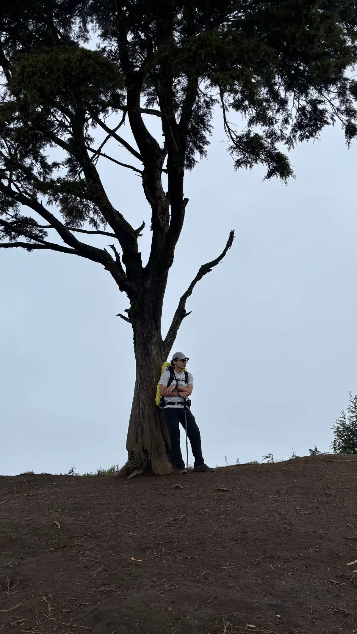 dalam rangka summit pertama tazia