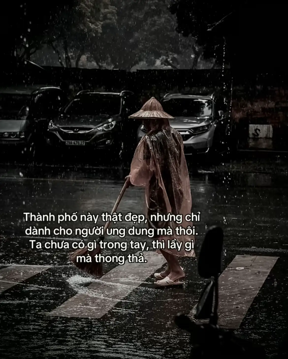 #xuhuongtiktok 
