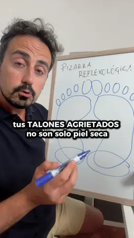 Los talones agrietados son el resultado de un problema físico claro: piel seca + presión excesiva. La piel del talón se engrosa (hiperqueratosis), pierde elasticidad y con la carga del peso corporal se abre en fisuras. Factores comunes: clima seco, duchas muy calientes, andar descalzo, sandalias, sobrepeso o estar muchas horas de pie. También pueden influir condiciones como eczema, psoriasis, hongos, diabetes o hipotiroidismo, que agravan la sequedad y dificultan la cicatrización. Además, el estrés y el mal descanso empeoran la barrera cutánea, haciendo que la piel sea más frágil. En resumen: la causa física es multifactorial, pero siempre combina sequedad, presión y cuidado insuficiente de la piel. Recuerda, desde la reflexologia podemos interpretar lo que el pie habla a través de sus señales. Pero no debemos olvidar la base física y científica que hay detrás de ellas. Si tienes problemas de talones agrietados consulta con tu podólogo de confianza.  Aquí te dejo varios: @clinica_guadaira  @beasanchezpodopostu  @victoriahoyos.podologa  Si quieres se Reflexologa profesional deja un comentario con la palabra “CLASE” Si quieres aprender a autotratarte a ti y a los tuyos deja un comentario con la palabra “MAPA” #reflexologiapodal #reflexologia #reflexoterapia #reflexologiapodal👣 #reflexologiaholistica    