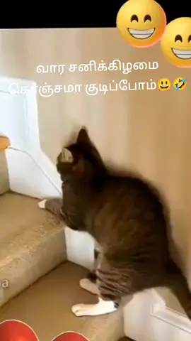 #😄😄😁😁😀😀🤣🤣🤣😁😁😁😀😀😀😂😂😂🤣🤣🤣😄😄😃😃😀😀😀😀 