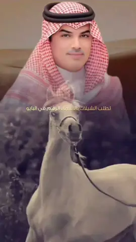 #شيلة لحضرات بالزين حماسيه 🔥 #شيلات #مهنا_العتيبي مهنا العتيبي _ شيلة ترحيبيه جديده 2025 اداء مهنا العتيبي - شيلات حماسيه 2025 شيلات زواج عريس شيلة_عريس شيلة_مدح خوات_المعرس تهنئة_ام_المعرس  بشارة_مولود_جديد بشارة_حفيدتي سميتي بشارة_مواليد بشارة_مولوده شيلة_مولوده سمية_جدتها شيلات_تخرج شيلة_تخرج شيله_تخرج شيلات_للتخرج شيلة_للتخرج شيله_للتخرج شيلات_تخرج_بنت شيلة_تخرج_بنت شيله_تخرج_بنت شيلات_ام_العريس شيلة_ام_العريس شيله_ام_العريس شيلات_لام_العريس شيلة_لام_العريس طشيله_لام_العريس شيلة_ترحيب ترحيبية_ام_العريس شيلات_ترحيب_ام_العريس  شيله_لام_معرس شيلة_لام_معرس  شيلات_لام_معرس شيله_ام_معرس  شيلة_ام_معرس شيلات_ام_معرس  شيله_لام_عريس شيلات_لام_عريس  شيلة_ام_عريس شيله_ام_عريس  شيلات_ام_عريس  شيلات_ترحيب  لطلب الشيلات بالاسماء خوالي  صوت الجزيره مهنا العتيبي  مهنا العتيبي صوت الجزيره شيلات ترحيب مهنا العتيبي شيلة ترحيب شيلات مولود تهنئة ترحيب  شيلة ترحيب جديده  رقص حماااس  طرب مهنا العتيبي  مهنا العتيبي طرب زواج شيلة مولود شيلة مولوده #اكسبلور #viral 