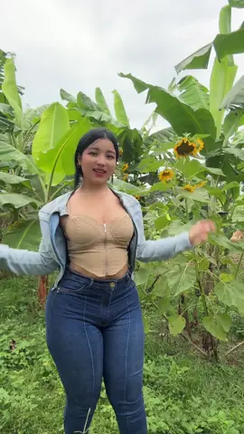 #parati 