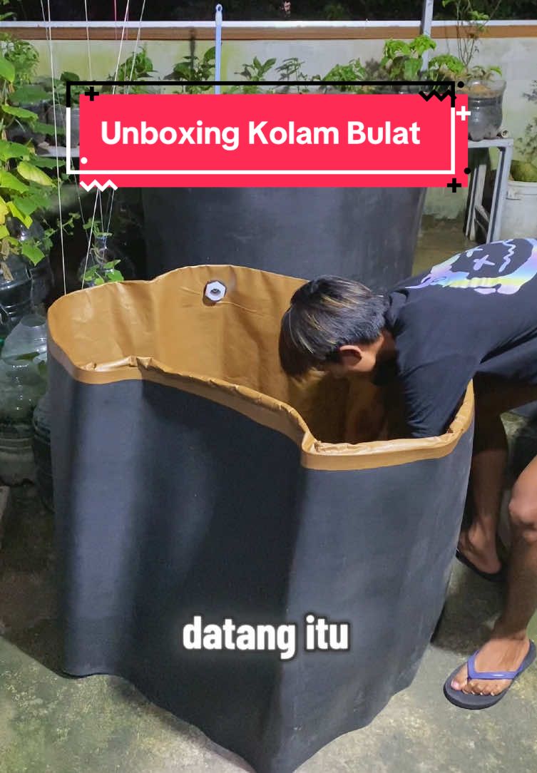 Unboxing kolam terpal tanpa rangka D1 T70cm cocok untuk belajar budidaya ikan #kolamterpal 