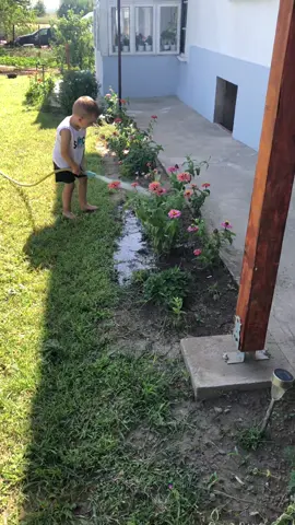 #градница #тервел #добрич #варна #дулово 