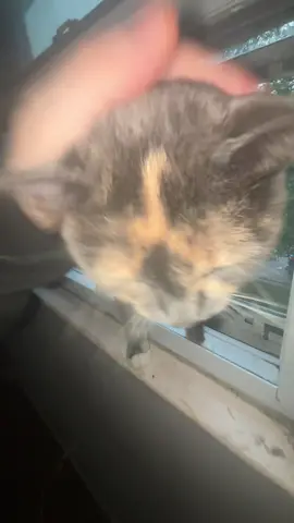 Is this my pc or no?! 💻😒