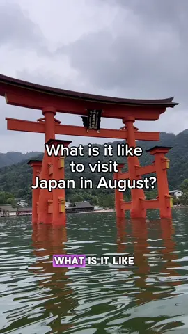 Japan in August? Let’s talk about it. I was so nervous to visit Japan in August because everyone said it would be miserable. And yes, it is hot and humid…but it wasn’t as bad as I thought it’d be. Plus, it’s not as crowded as cherry blossom season! Here are tips for visiting Japan in August and how to beat the Japan summer heat. *As always, you know your own body and limits. So if you are sensitive to heat it may be best to skip Japan in August. #japaninaugust #japantraveltips #japansummer #japantrip #japantravel  