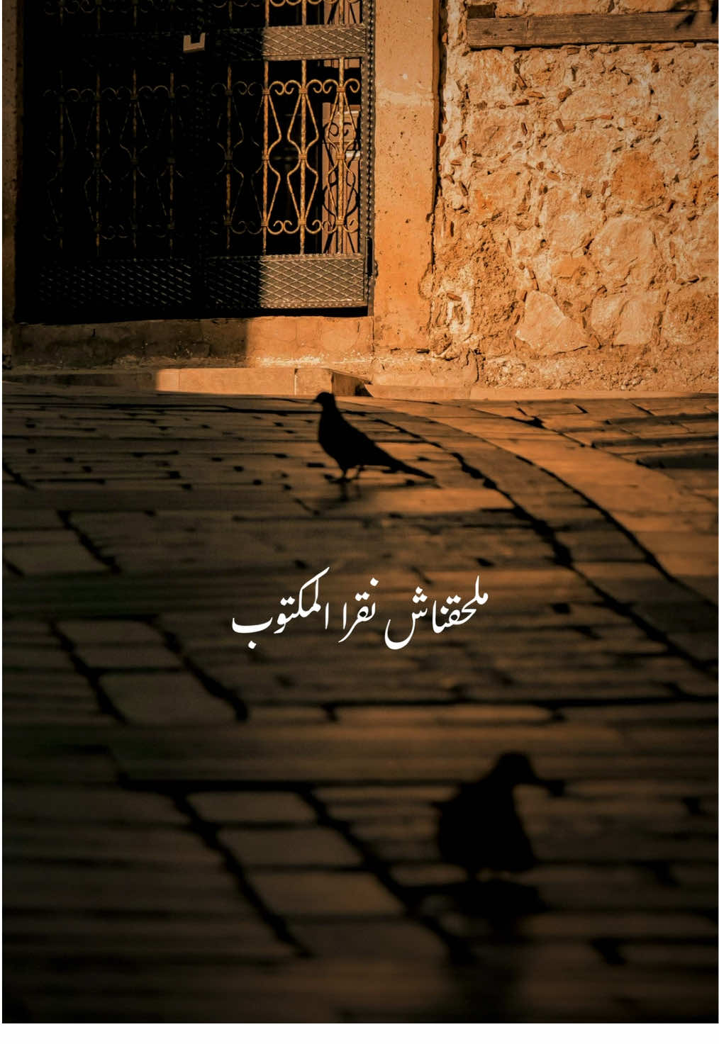 #فاضي_شوية_نشرب_قهوة #حمزة_نمرة #fyp #music #استوريهات 