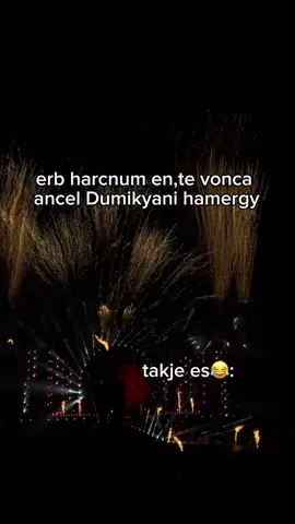 🥶😂 #rek #arkadidumikyan #fyp #concert 