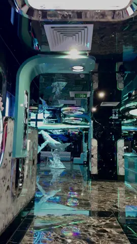 #KTV #thượnghải sắp bùng nổ thôi 🧚🏼‍♀️