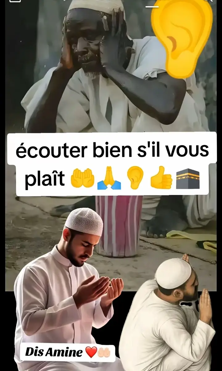 Afrique serpent 🐍 😂