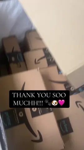 Marcie Ann is truly blessed. God don’t play about my girl !! I’ll be opening them as soon as I get them in the house and my phone charged. ON LIVE. We love her true supporters !! 🩷 *AMAZON WISHLIST IN BIO. #viral #dogsoftiktok #dogs #fyp #rescuedog 