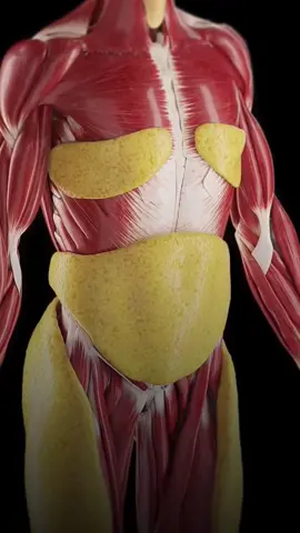 Here is what happens to your body when you eat peanut every day#peanut #peanutbutter #healthtips #DidYouKnow 