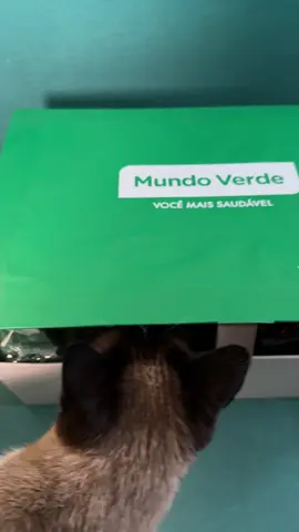 Pequenos hábitos podem transformar sua saúde, e incluir Ômega 3 é um deles. Olha só os benefícios: 🧠 Saúde do cérebro: melhora a memória e a concentração. 💓 Coração protegido: auxilia na saúde cardiovascular. 💪🏻 Antiinflamatório: ajuda a estabilizar o lipedema. Você encontra lá no @Mundo Verde com toda qualidade e confiança. 🌱 👉 Garanta o seu no site ou na loja mais próxima!