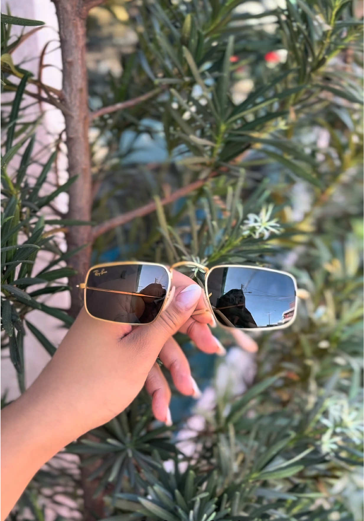 O vídeo apresentado mostra os óculos de sol Ray-Ban Julie — um clássico atemporal que nunca sai de moda. ✨😎  Com armação em metal, hastes douradas e as icônicas lentes verdes G-15. Versátil e sofisticado, é a escolha ideal para qualquer ocasião! Venha se encantar, experimentar e garantir o seu! 