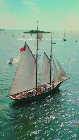 Gloucester Schooner Festival, August 27–31, 2025. 🗓️  Experience schooners from around the world in Gloucester Harbor, with events like the Schooner Challenge Race, Parade of Sail, and Mayor’s Cup Race. ⚓🎉  Enjoy scenic harbor cruises, boat tours, live music, and family-friendly activities. 🎶 #GloucesterSchoonerFestival #NewEngland #Sailing #DiscoverGloucester #maritimeheritage