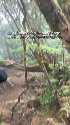 #CapCut treknya bikin melongo#gunungpangrango #tren #pangrangoviacibodas #pangrango 
