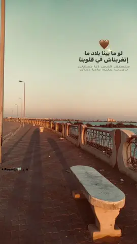 هيـلاقـيه🤎.  #كورنيش_بلطيم 
