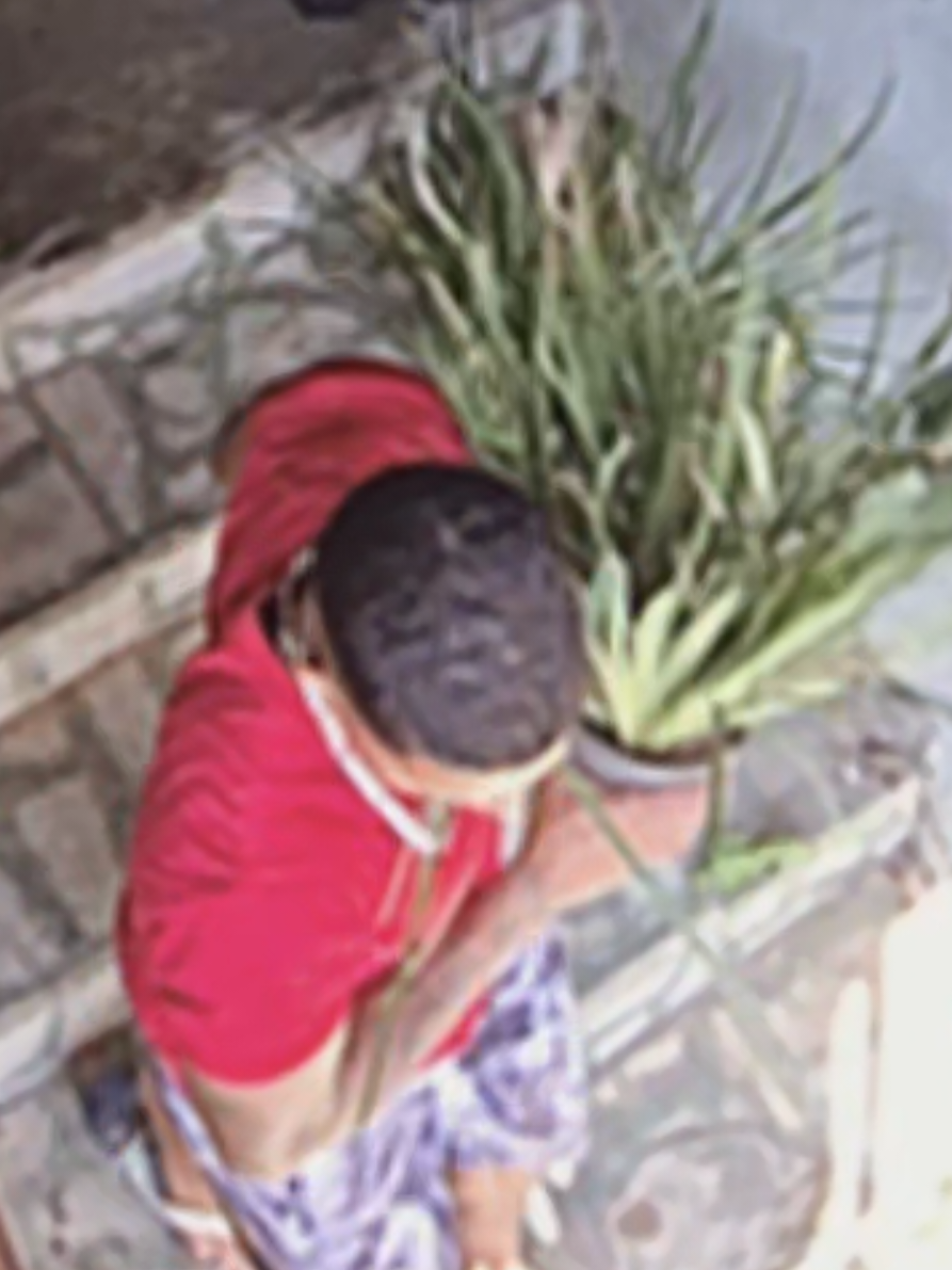 dessa cor eu ainda não tenho 👀🌱🥀🍃 #vittor 