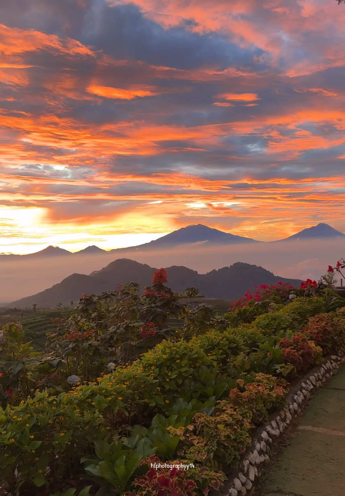 Pagi ini dari silancur highland 19.08.2025 #silancurhighland #silancurhighland #sunrise #sunrisemagelang #fyp 