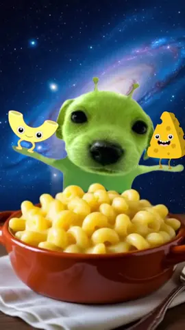 Gog loves macaroni cheese - Part 2 👽🐶💚🧀 #Gogthealiendog #macncheese #silly #brainrot #fyp 