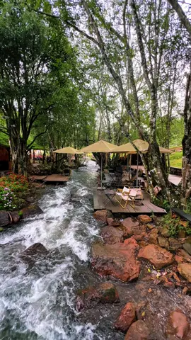 Sáng sớm các bạn đi suối cũng thích lắm nha 🥰🥰 📍 Suối Bình Yên  #dalat #loinhodalat #suoibinhyen 