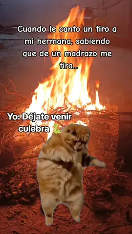 #afroditald #hermana #humor #👊🏽 #pelea 
