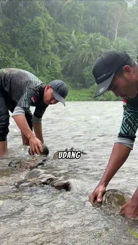 masak udang campur umbut lengkuas #mencariikan #jemodusuntv #petualangan