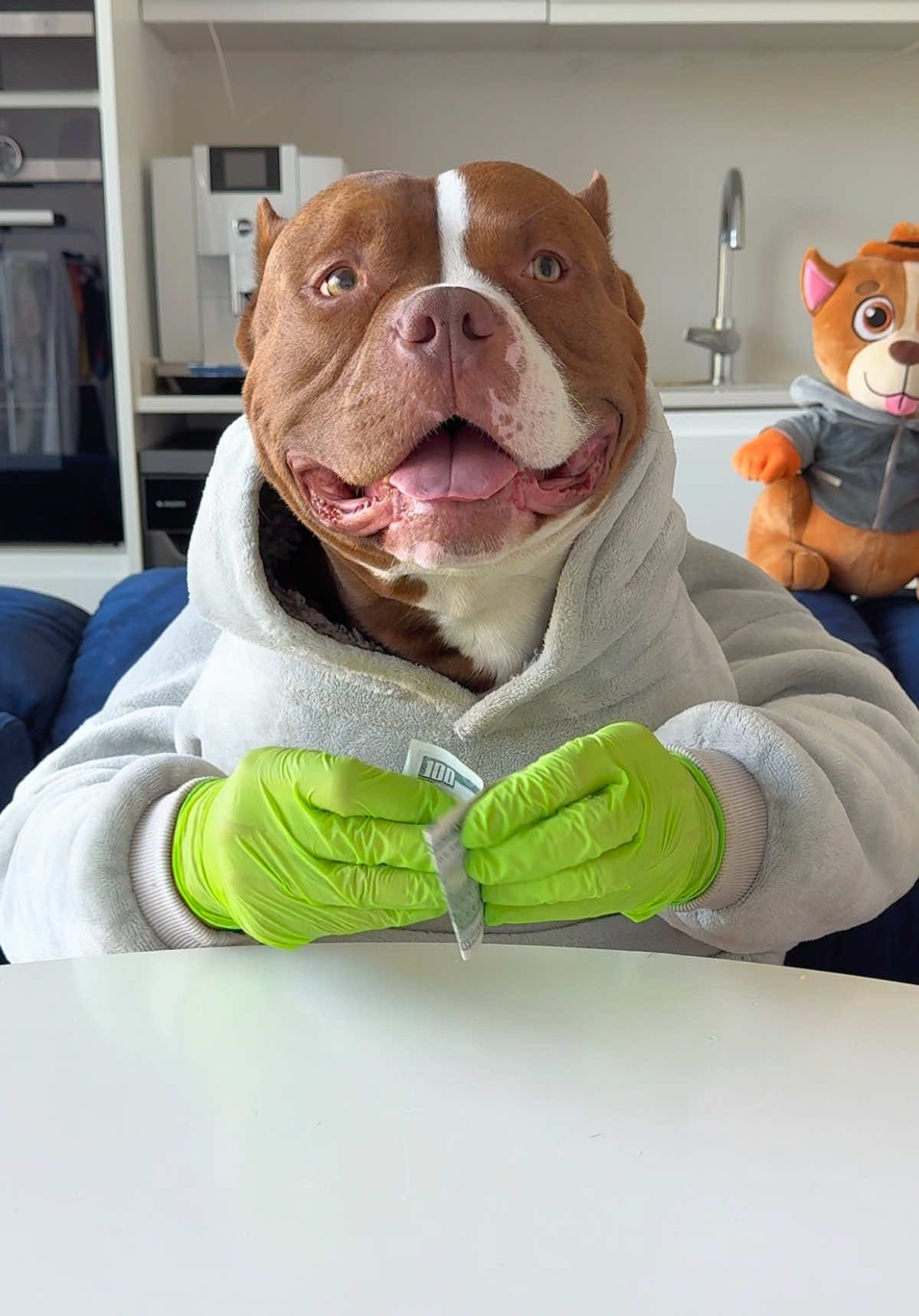 Peanut Butter Sandwich 🥪 