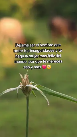 #❤️🥺 